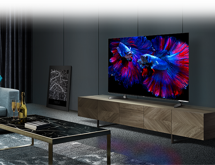 55X8F | ハイセンスジャパン株式会社