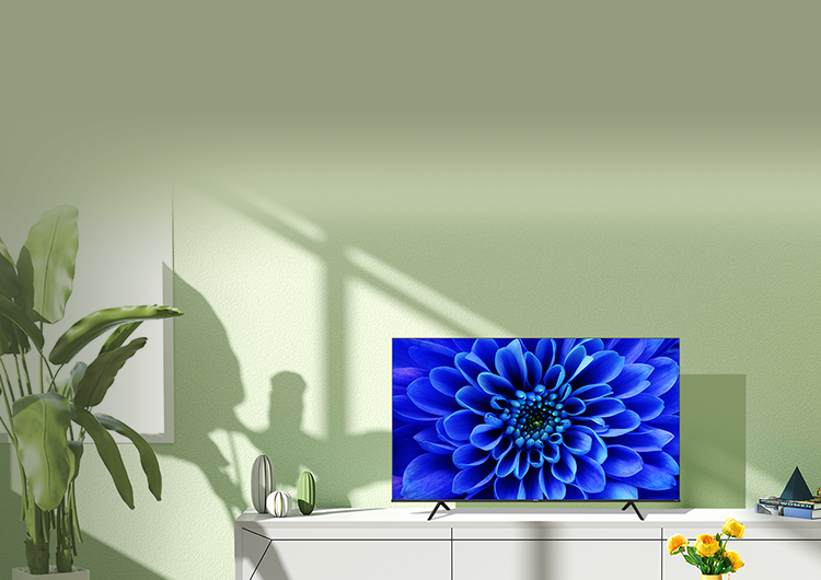 75E6G | ハイセンスジャパン株式会社