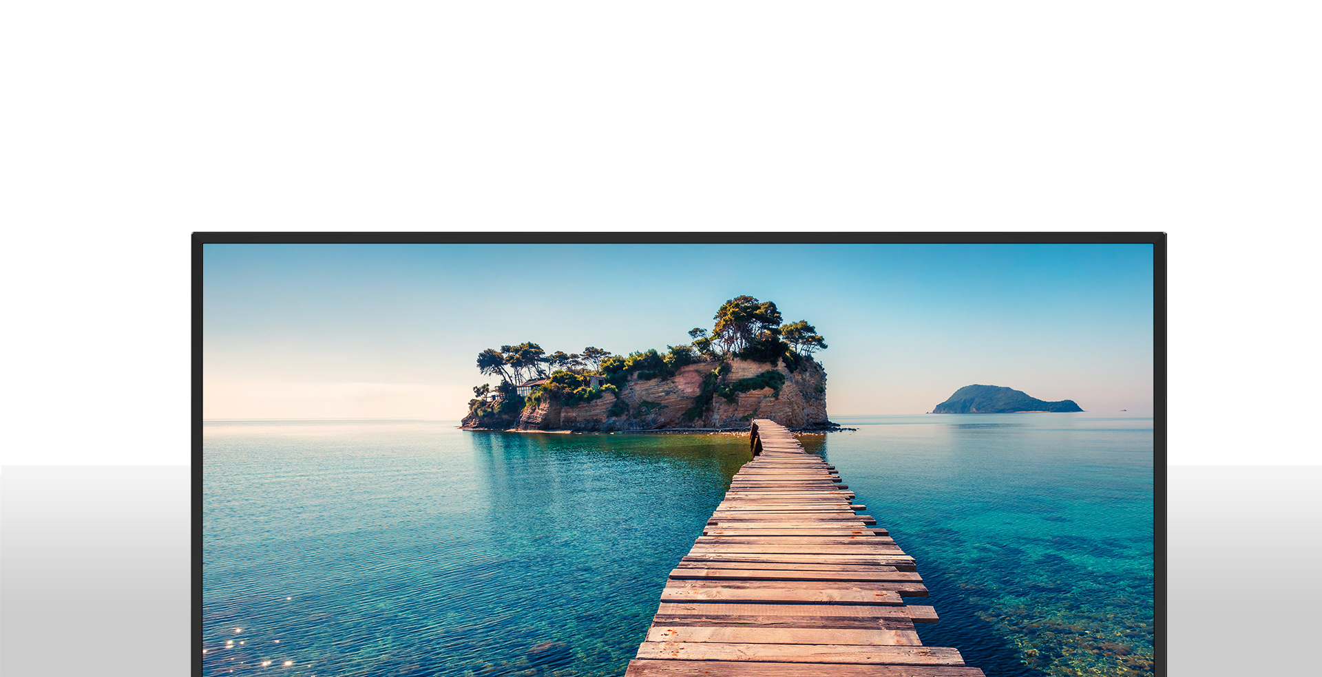 19A50 | ハイセンスジャパン株式会社