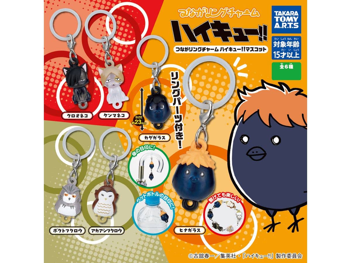 ハイキュー!! : カラパレ ハイキュー!! 掃除 缶バッジ 1BOX 11pcs