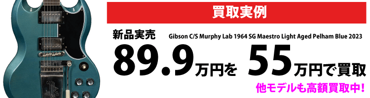 Custom Audio Japan(CAJ) RS616 with Patch Cable Set 中古｜ギター