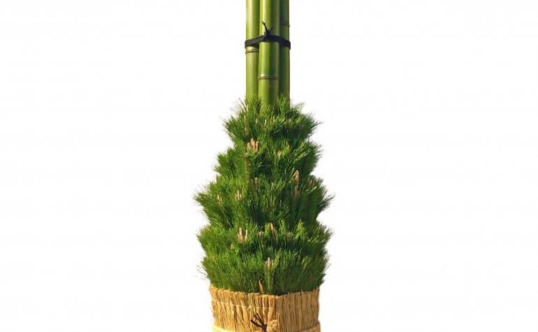 年末年始】『門松』なのに竹の主張がスゴイ｜みなとの野菜大辞典