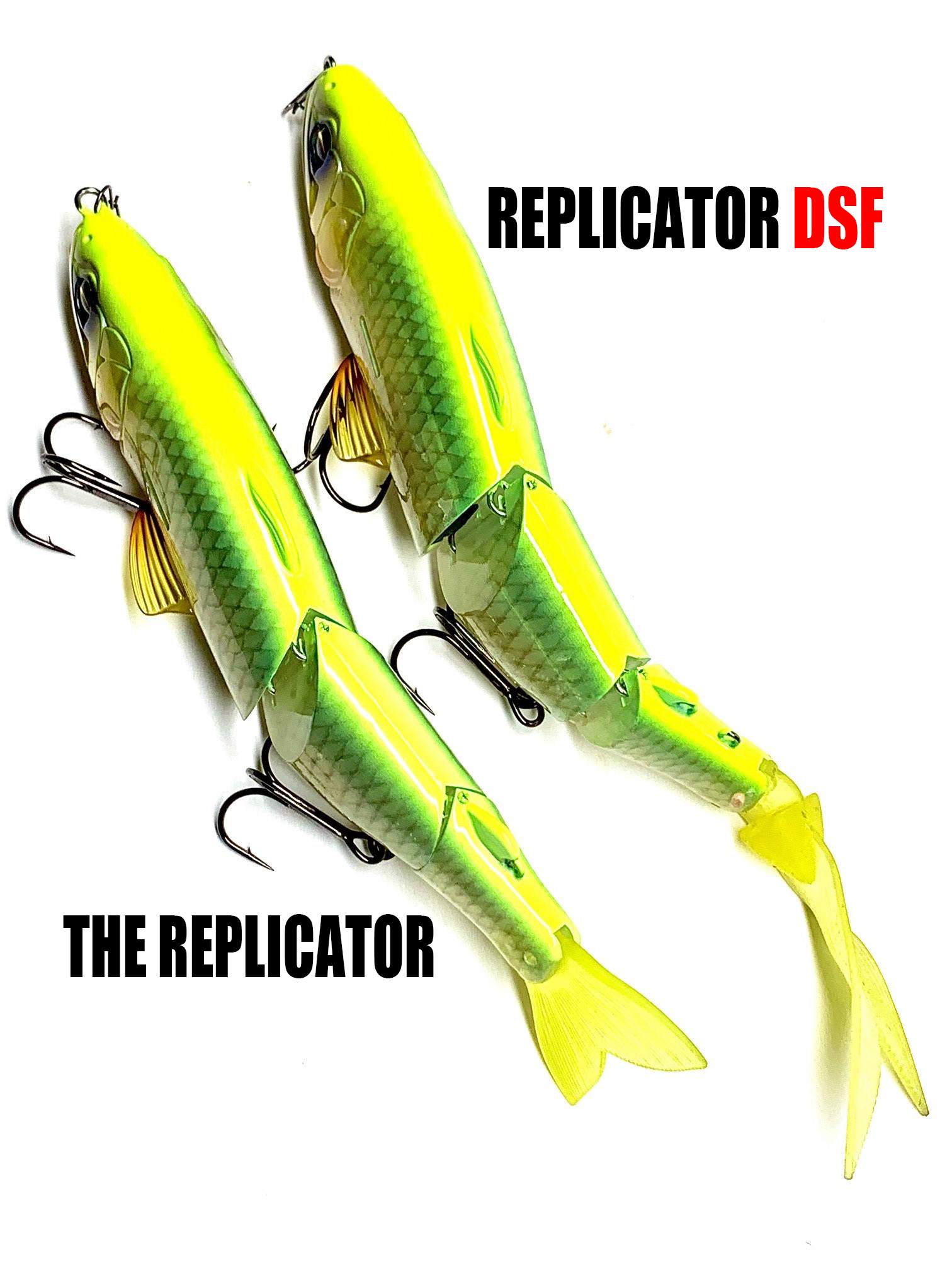 DSFのお詫びとお知らせ | Top Secret | IMAKATSU