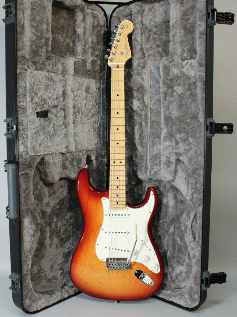 2010FenderStandardStratocaster
