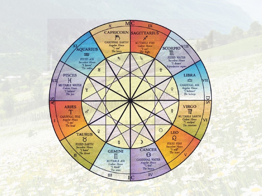ガブリエル先生の新コース「アロマティック・メディカル・アストロ