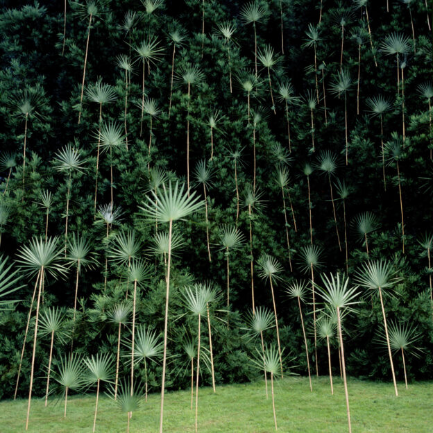 NILS-UDO: Towards Nature - Interalia Magazine