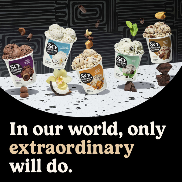 So Delicious Chocolate Cookies N Cream Cashewmilk Dairy Free