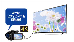 EX-LD4K491DB | 4K対応49型（可視領域48.5型） ワイド液晶ディスプレイ