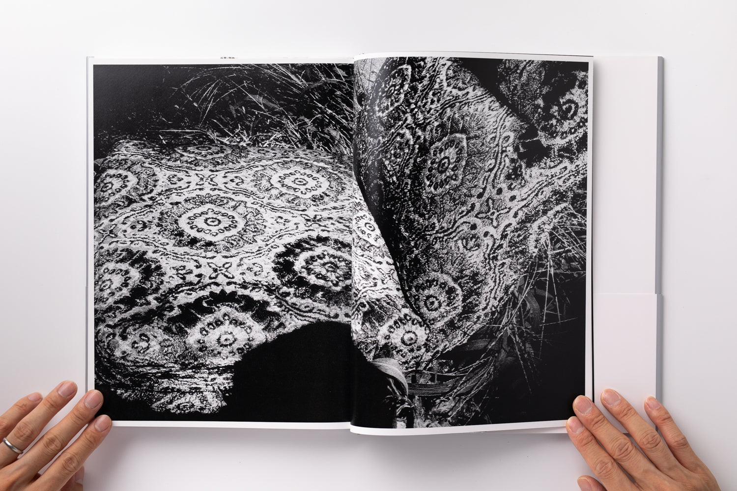 2X6A2733_18f5aca3-eccf-4de2-