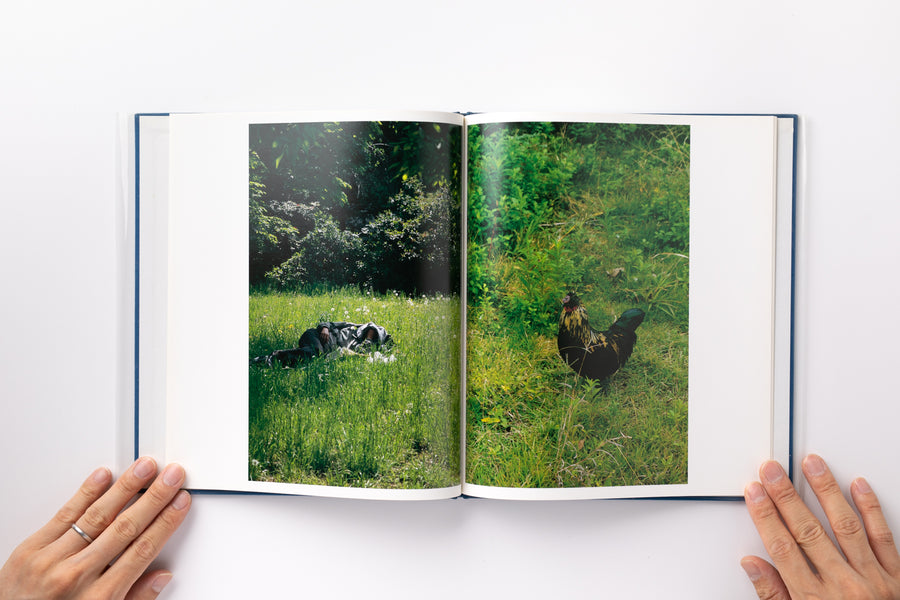 Hysteric Six by 中平卓馬– IACK