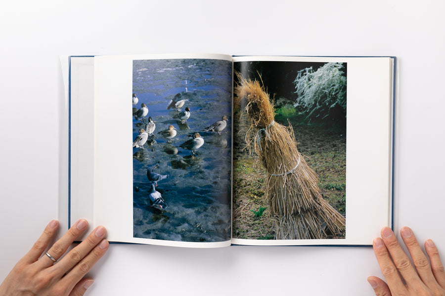 Hysteric Six by 中平卓馬– IACK