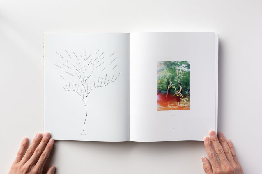 Not in Fashion by Mark Borthwick – IACK