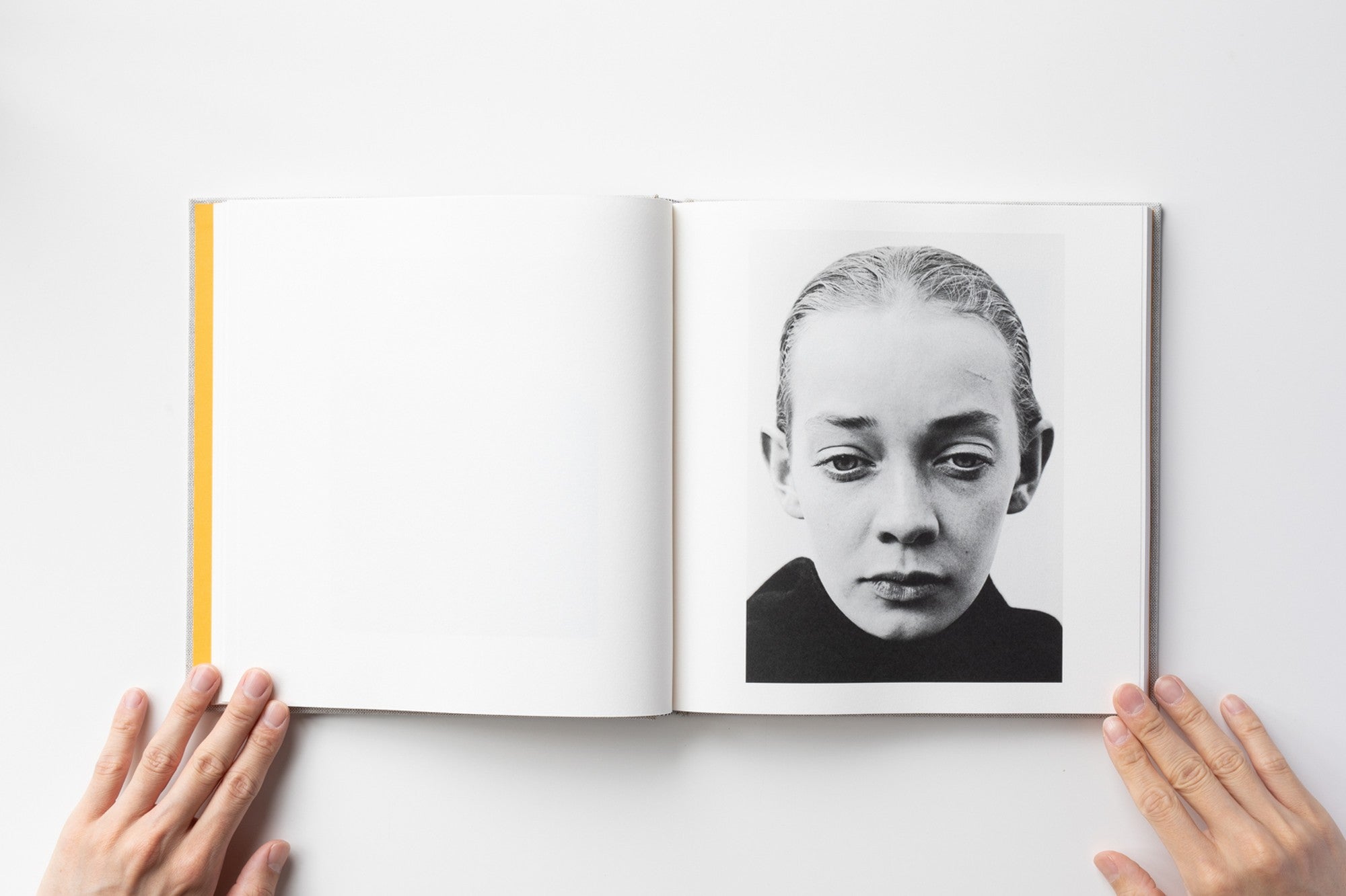 2b28532c785e726e37a37c512c413f