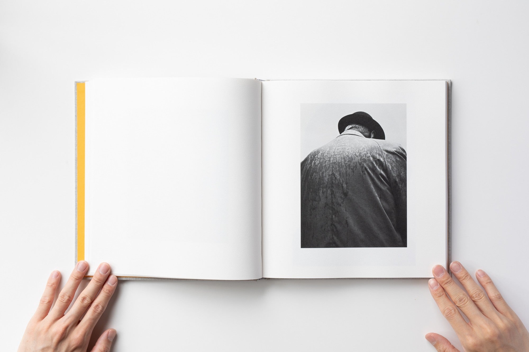 e26feb37e443c9eb0994fda5adabb1