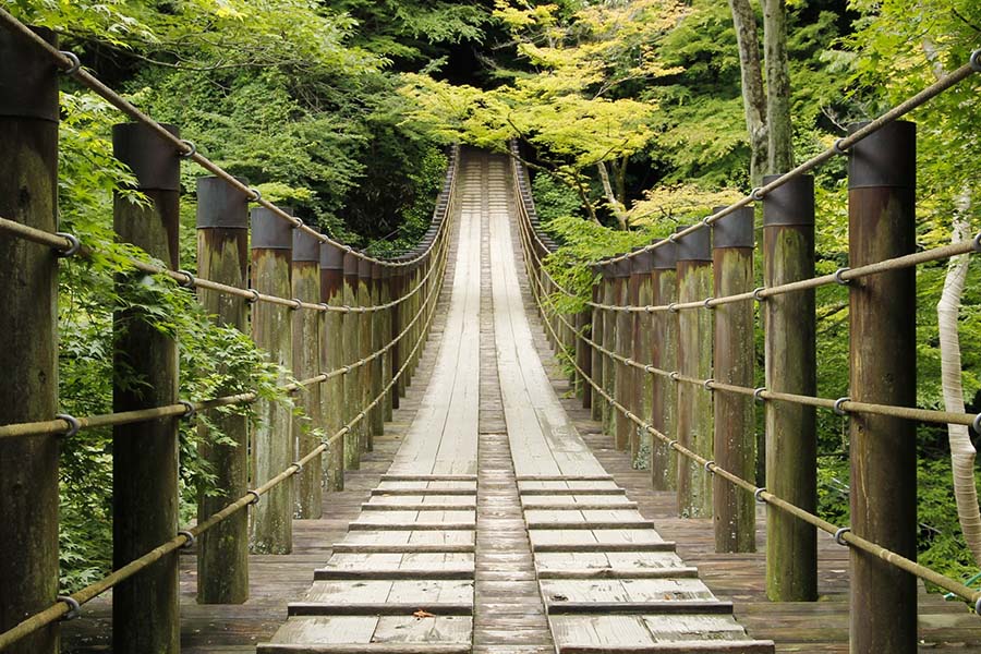 花貫渓谷 | 大自然を満喫する天空の庭 天馬夢 ～茨城ドームテント