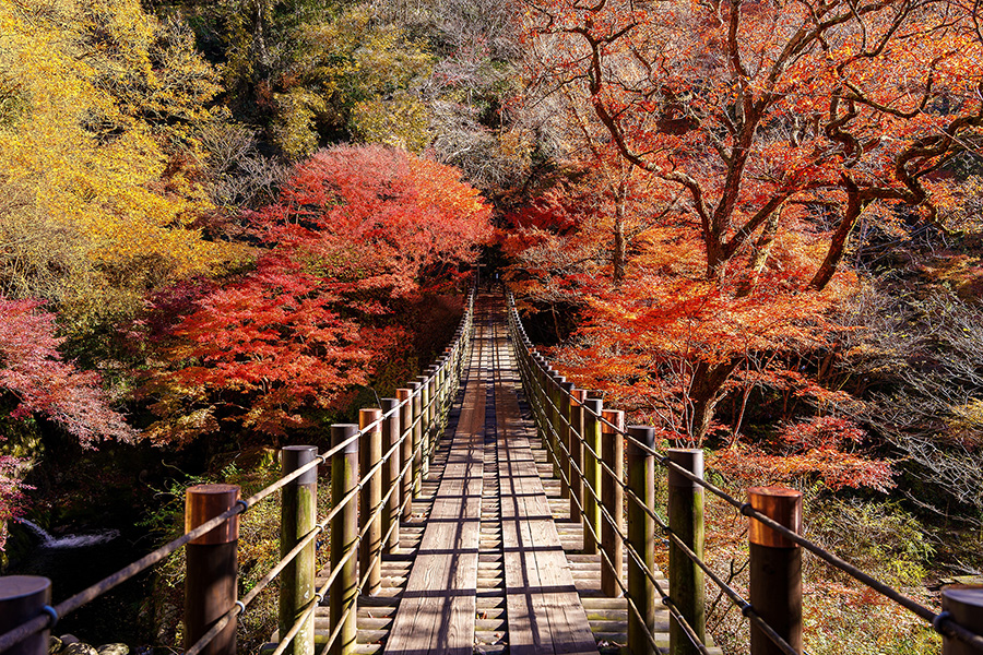 花貫渓谷 | 観光いばらき公式ホームページ