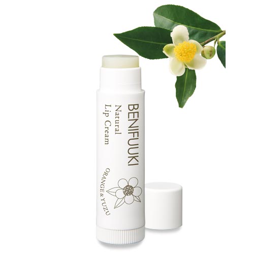 ナチュラルリップクリーム（2本セット） 1箱（4g×2本入）の通販｜静岡
