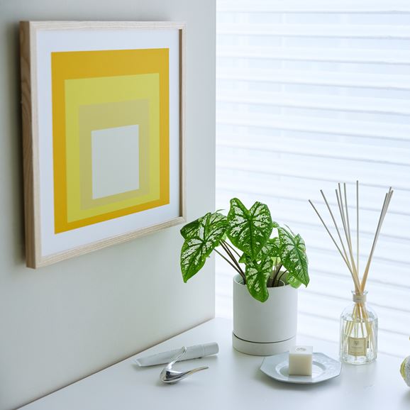 定番品】ジョセフ・アルバース「正方形賛歌 イエロー」｜ポスター