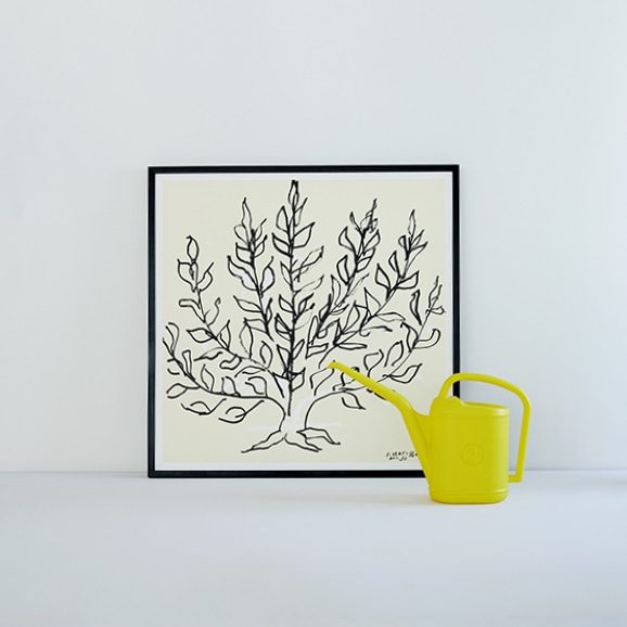 定番品】 アンリ・マティス 「低木」ブラックフレーム｜ポスター｜IDEE