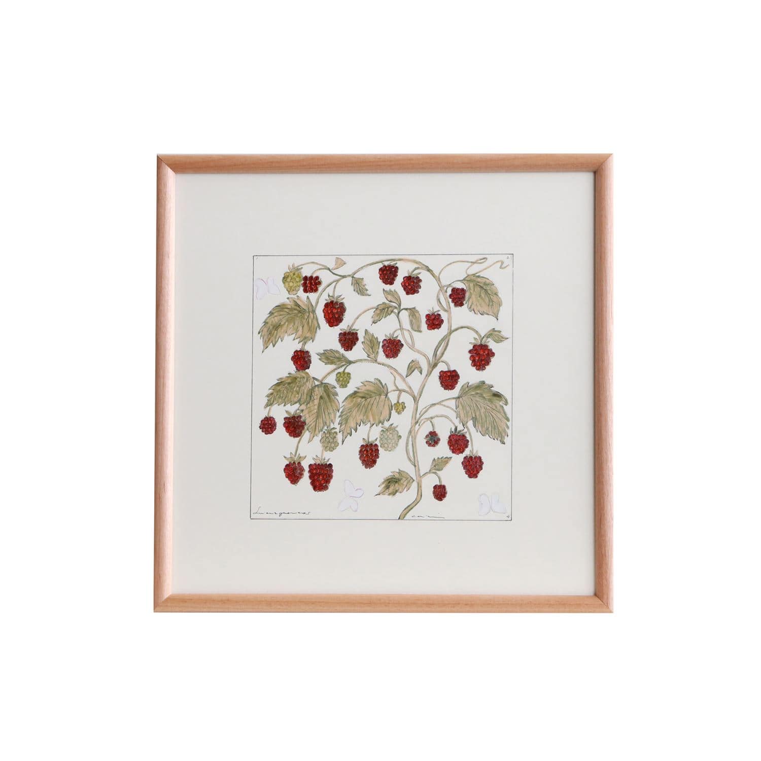 一点物】coricci 「botanical 6」｜これまでに販売した商品｜IDEE SHOP