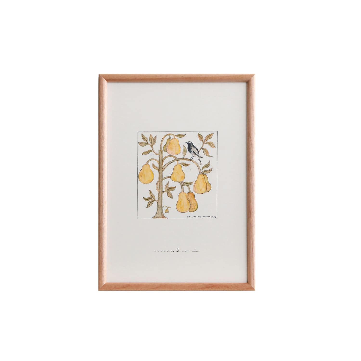 一点物】coricci 「botanical 1」｜これまでに販売した商品｜IDEE SHOP