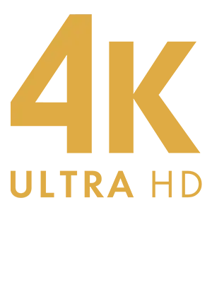 DFS-01HD 4K@30対応 HDMIフレームシンクロナイザー | 株式会社アイ