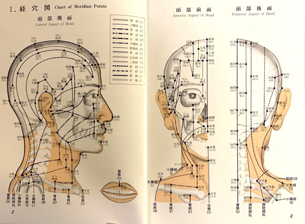 書籍紹介】経穴の位置がパッと一目でわかる信頼のロングセラー！「臨床