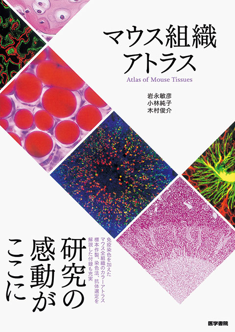 標準病理学 第7版 | 書籍詳細 | 書籍 | 医学書院