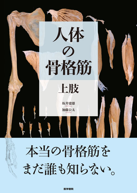 人体の骨格筋 上肢 | 書籍詳細 | 書籍 | 医学書院