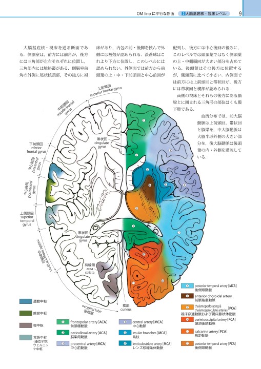 脳卒中ビジュアルテキスト_立ち読み