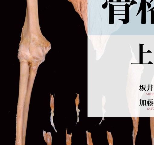 人体の骨格筋 上肢 第1版』 立ち読み