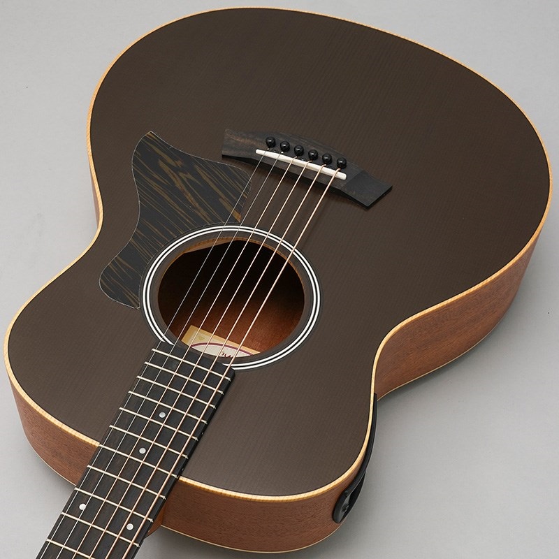 TAYLOR GS Mini-e Special Edition Translucent Black テイラー