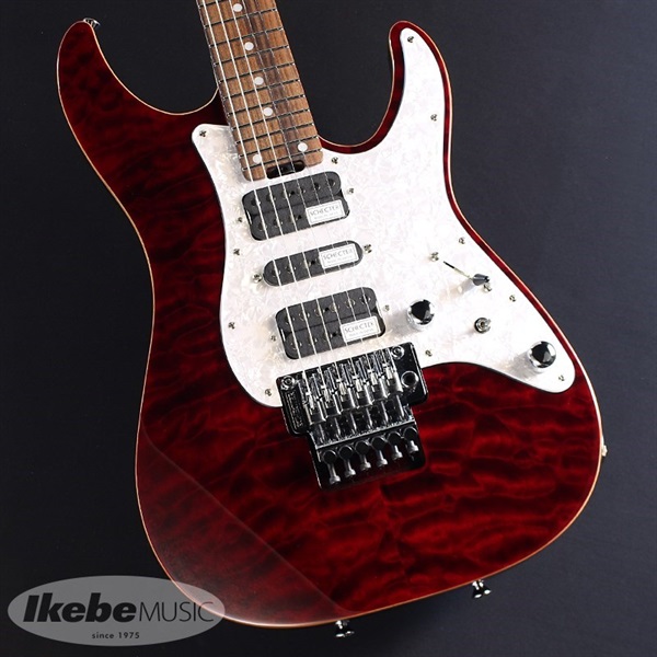 SCHECTER SD-2-24-AL (See-Thru Red/Rosewood) ｜イケベ楽器店