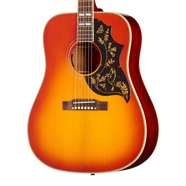 Epiphone 【半期決算セール】【数量限定エピフォン・アクセサリー