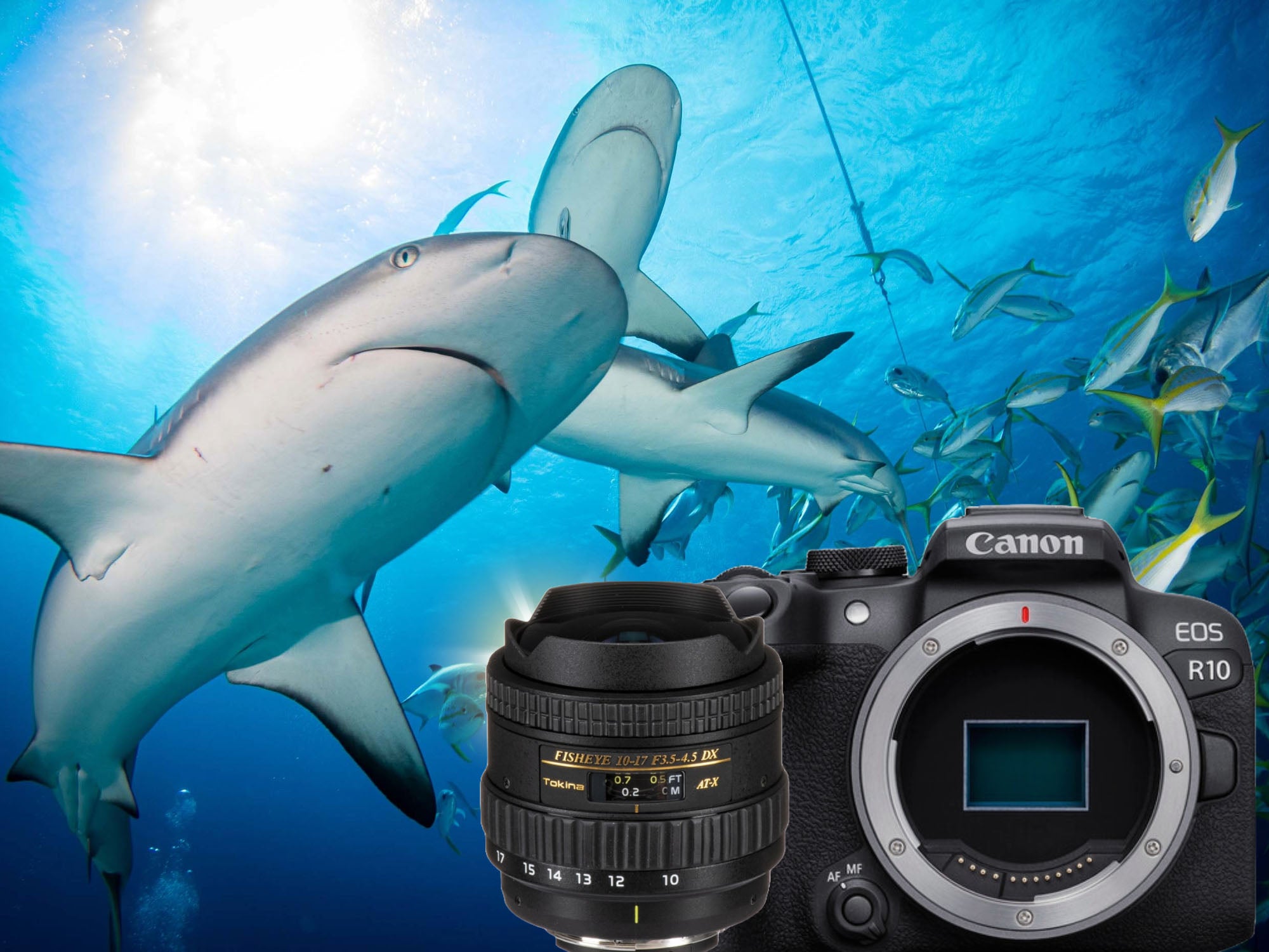 Tokina 10-17mm Fisheye on the Canon EOS R10 Review & Underwater Result