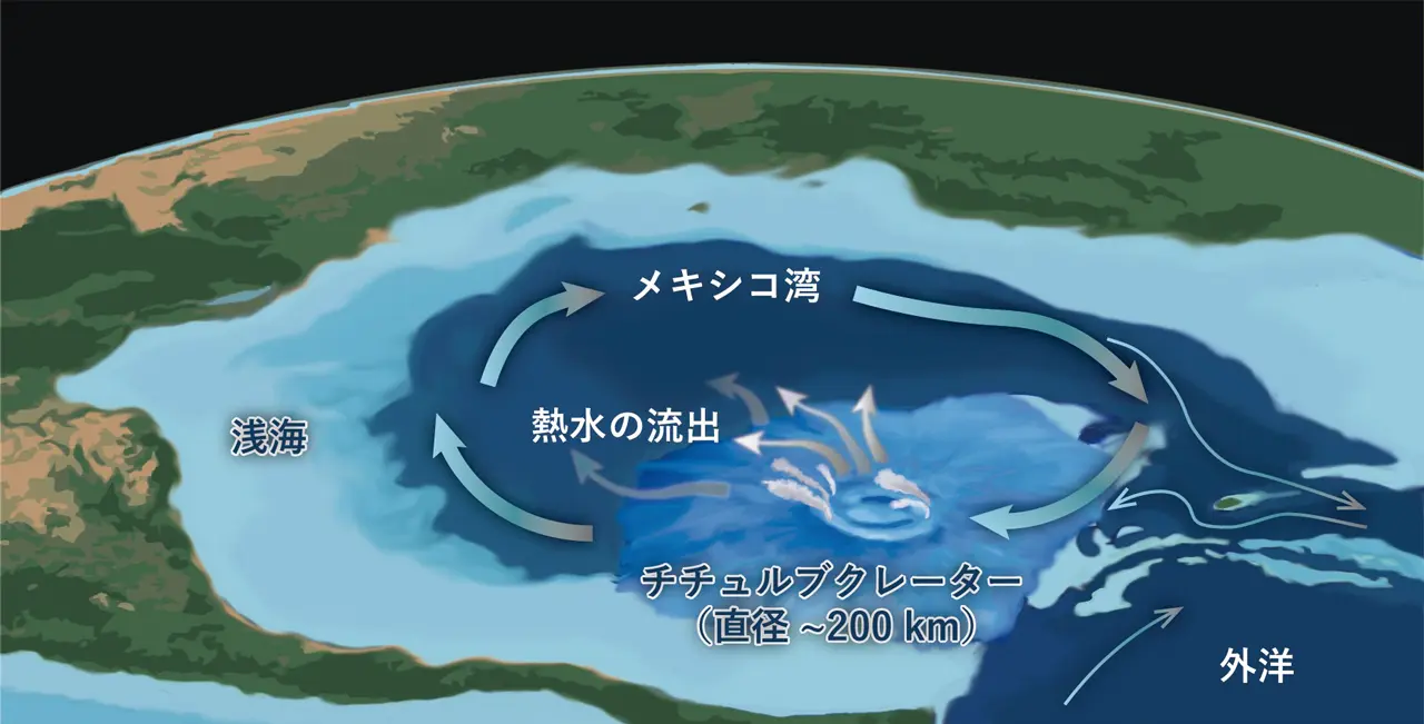 6600万年前の小惑星衝突がもたらした特殊な海洋環境 | Science Tokyo