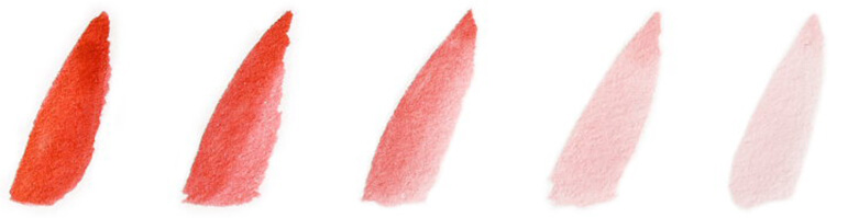 小町紅 | 紅とは | 伊勢半 紅