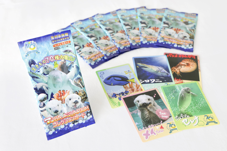 囀る鳥は羽ばたかない 歌舞伎町水族館年間パスポート 3枚セット 囀る鳥