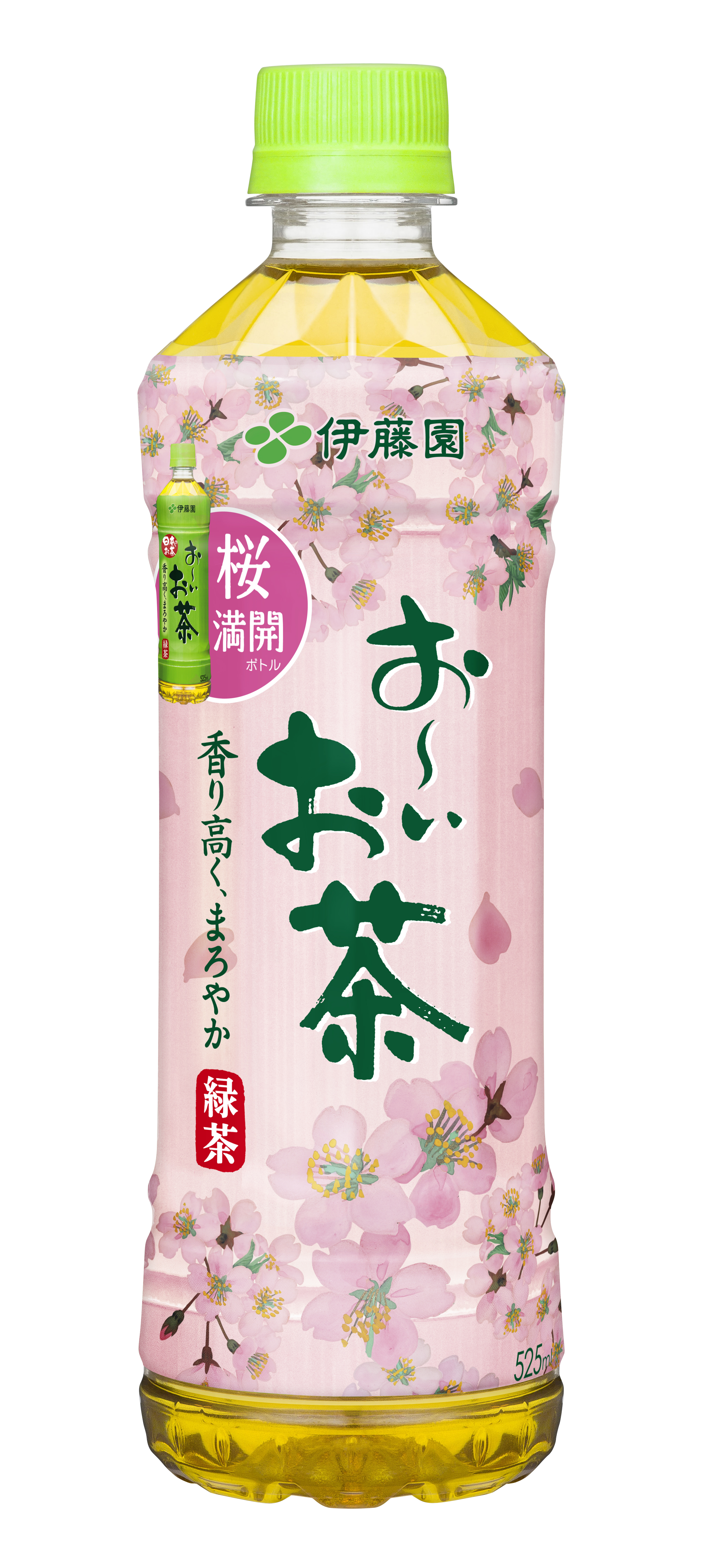 桜満開ボトル「 お～いお茶 緑茶 」リラックマ オリジナルペットボトル