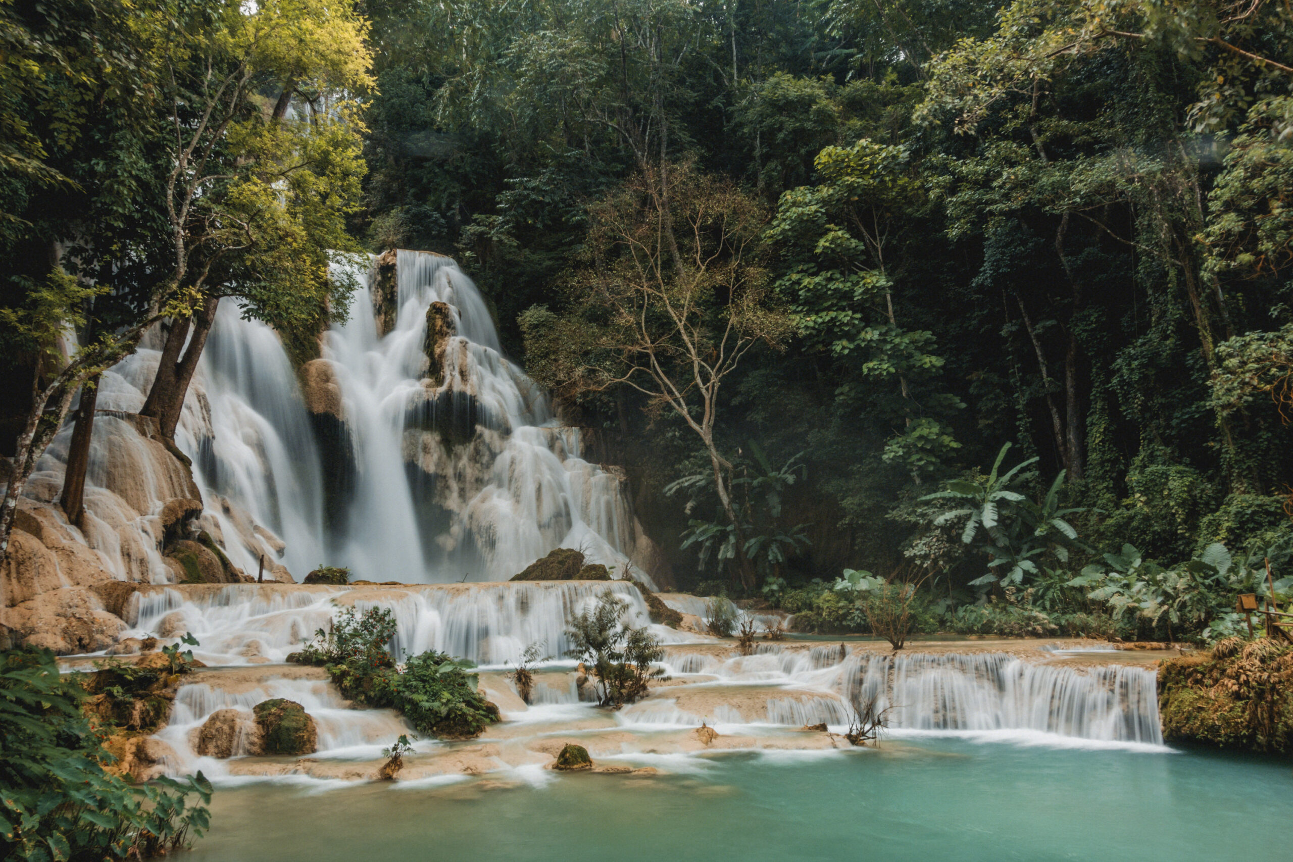 Exploring the Sony RX100 Series: From the RX100 to the RX100 VII