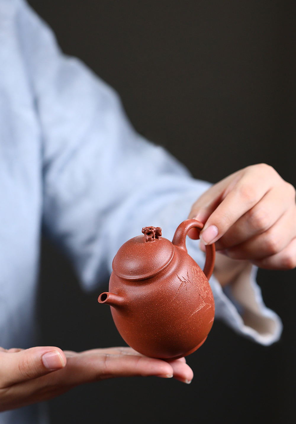 IwaiLoft 本番 中国宜興 紫砂 茶壺 急須 オシャレ 紫砂壷 朱泥 中国