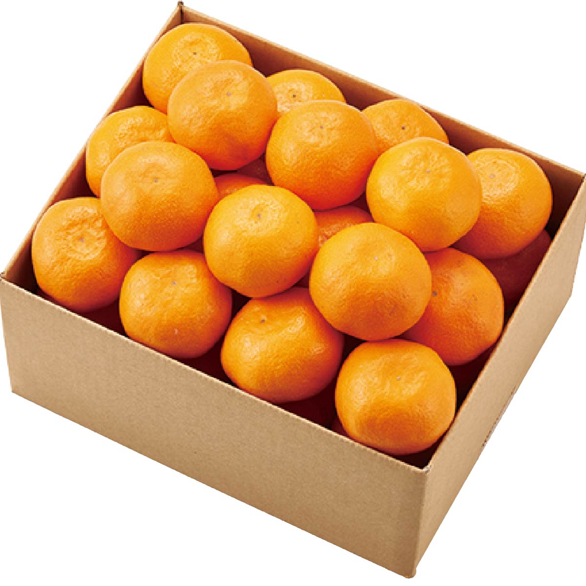 イワタニの公式オンラインショップ｜【出荷期間:11月16日-12月25日