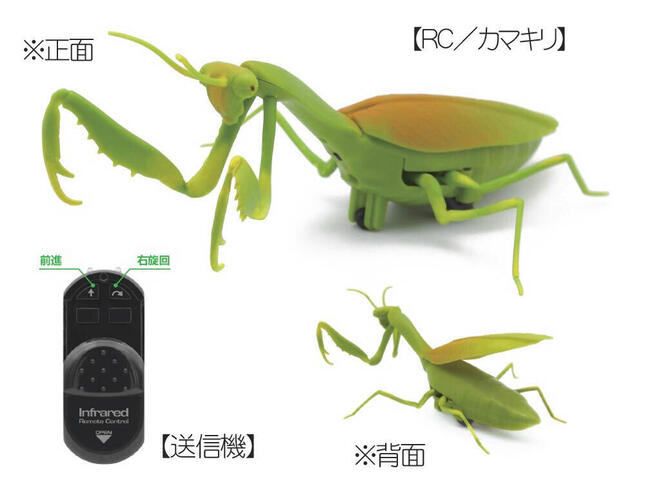 家の中にリアルガチなカマキリ！？正体はラジコン【おうちで遊べる