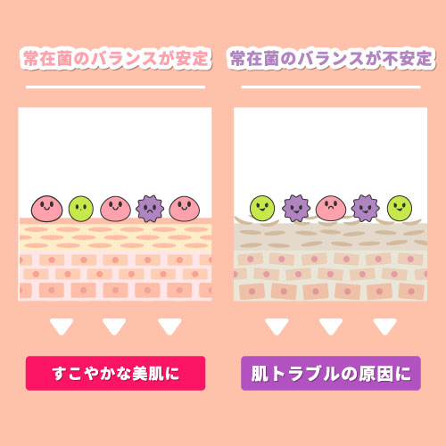 クリューベル プレミアムクリームマスク｜ホームケア商品｜ジェイ