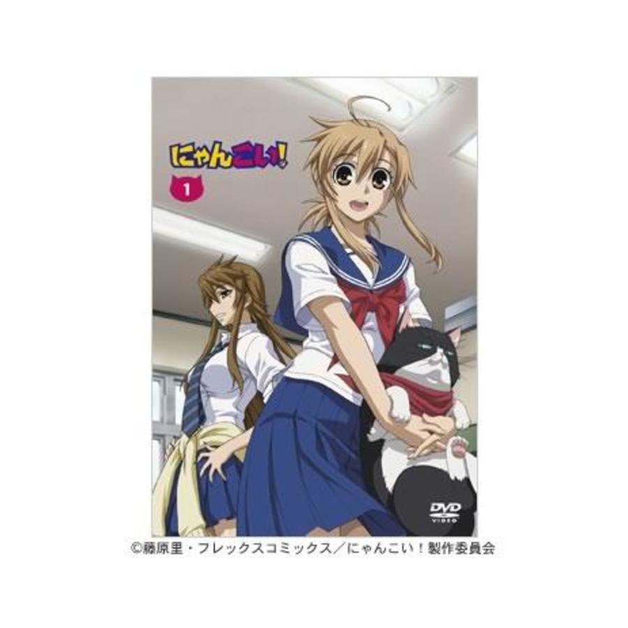 にゃんこい！／1巻／DVD（初回限定版） | CBCショッピング