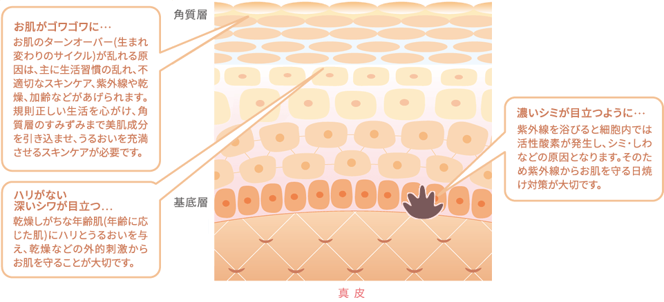 GRACE PROGRAM（グレイスプログラム）｜スキンケア｜ジョセフィン