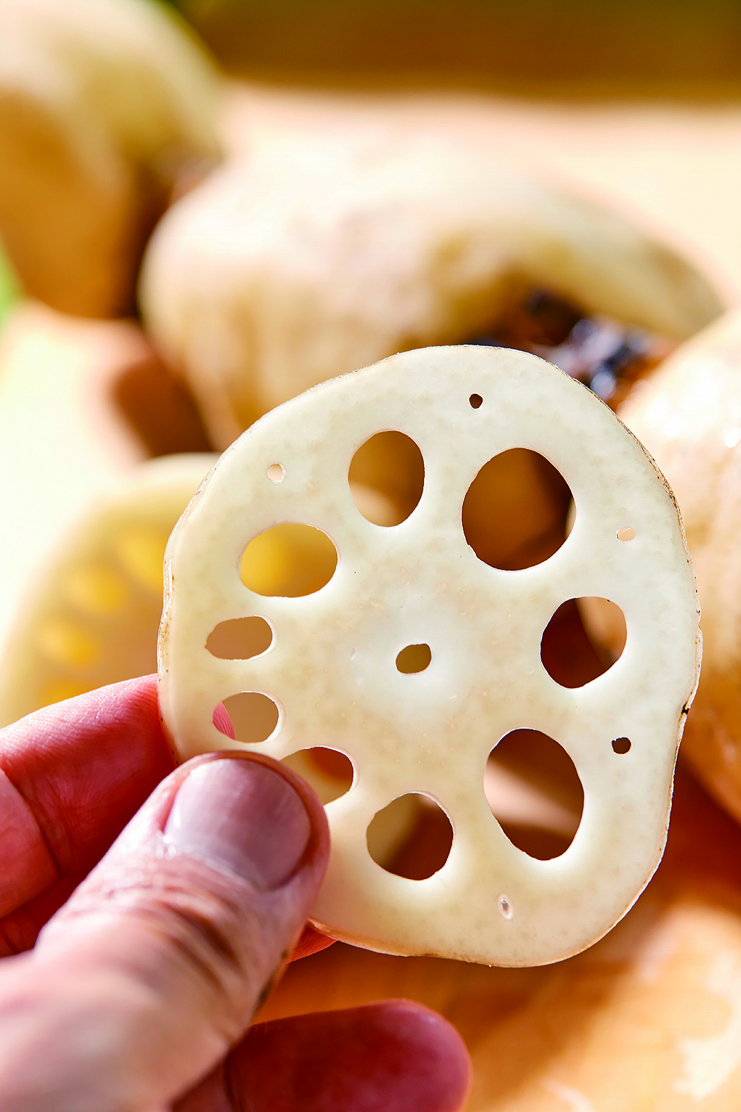 白くて甘い旬のおいしさ 夜明けの「高砂レンコン」を探しに藤本 武さん