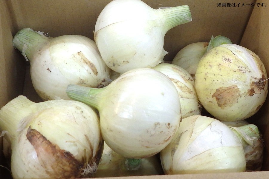 極早生】うしろ農園の淡路島産新たまねぎ（約5㎏）: あつめて、兵庫
