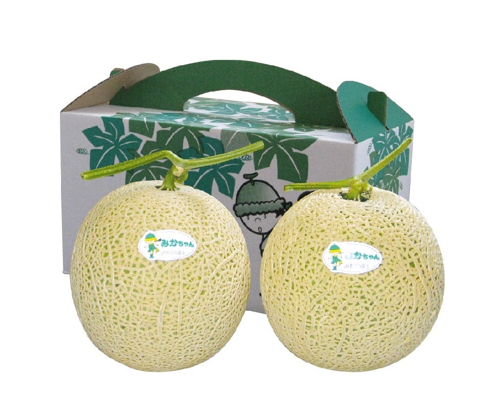 みかちゃんメロン ～アールス2玉～: 近江の味彩|【JAタウン】産地