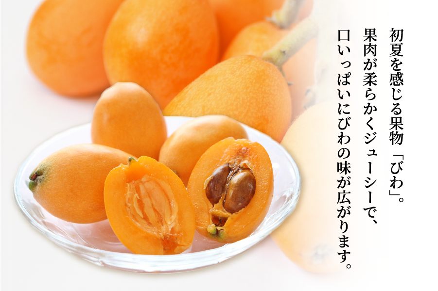 香川県産びわ 約500g（8～12玉）秀品・化粧箱入: JAギフトセンターか